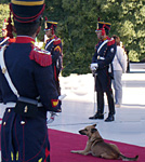 Buenos Aires